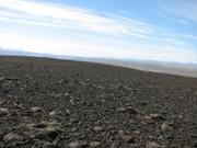 Img 9895