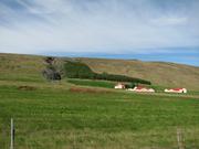 Img 9941