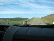 Img 9951