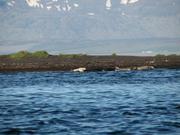 Img 9958