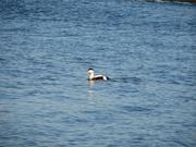 Img 9981