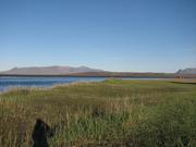 Img 9988