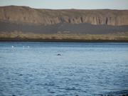 Img 9991