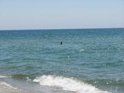 Img 4782