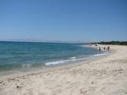 Img 4783