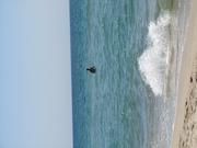 Img 4784