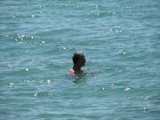 Img 4785