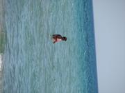 Img 4788