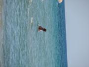 Img 4789