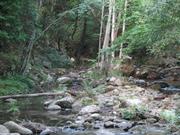 Img 4795