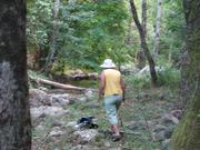 Img 4796