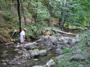 Img 4799