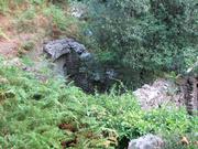 Img 4805