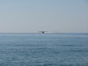 Img 4812