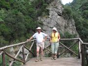 Img 4821