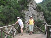 Img 4822