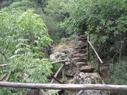 Img 4827