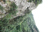 Img 4829