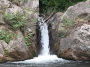 Img 4831