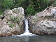 Img 4832