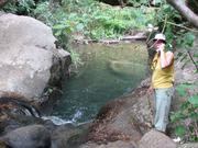 Img 4833