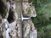 Img 4835