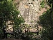 Img 4840