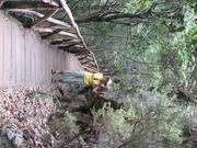 Img 4841