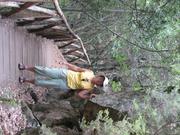 Img 4842