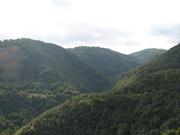 Img 4843