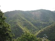 Img 4844