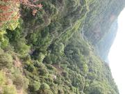 Img 4845