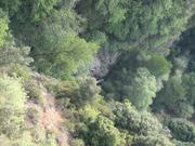Img 4846