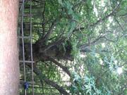 Img 4847