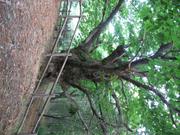 Img 4848