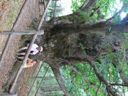Img 4849