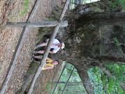 Img 4850