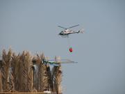 Img 4853