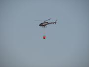 Img 4854