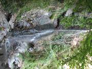Img 4855
