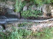 Img 4856