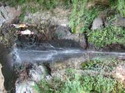 Img 4857
