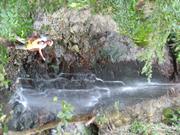 Img 4859