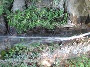 Img 4861