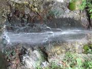 Img 4862