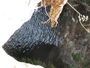 Img 4864