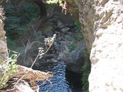 Img 4865