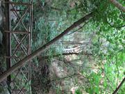 Img 4866