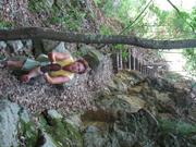 Img 4867