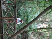 Img 4869